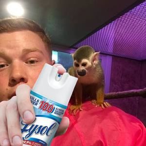 Meet your Posher, Donald